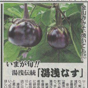 湯浅なす伝統野菜