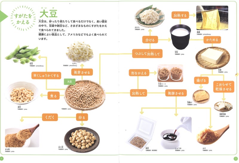 大豆の食べ物　加工方法