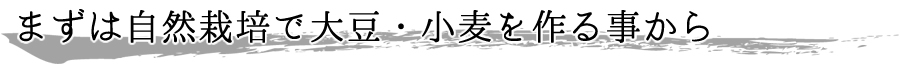 まずは自然栽培で大豆・小麦を作る事から