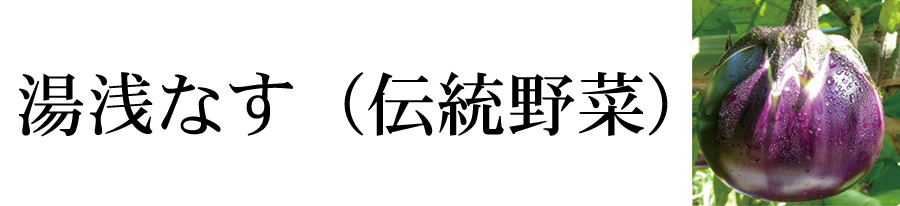 湯浅なす（伝統野菜）