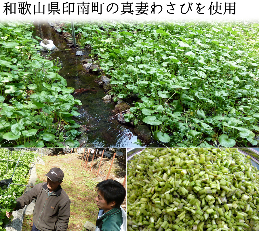 和歌山県いなみ町の真妻わさびを使用